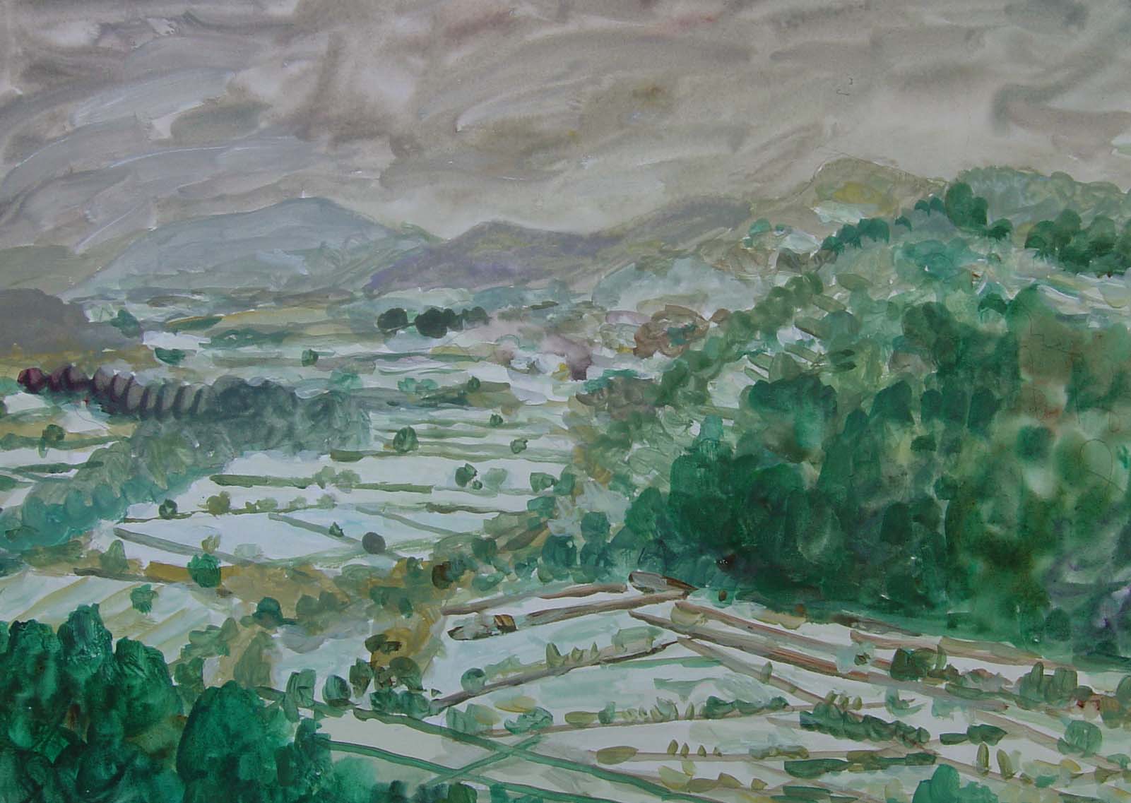 Thirty three slide image